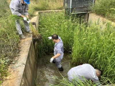 \(yng)늏Sz޲h֧_(ki)չѴų[ ӭıȫ}hջ(dng)